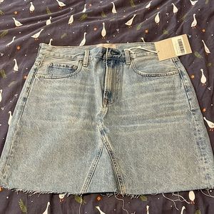 Everlane denim mini skirt